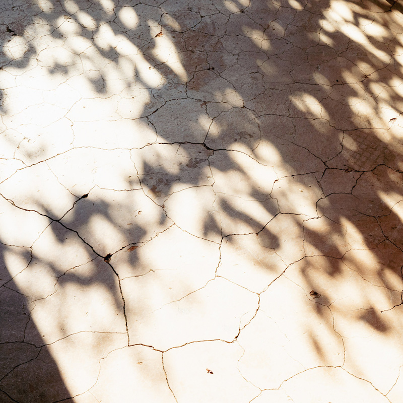 VELUNALOE FLAVOR Bitter-Break